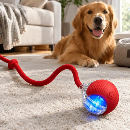 Bola Interativa Inteligente para Cães e Gatos — PawMotion