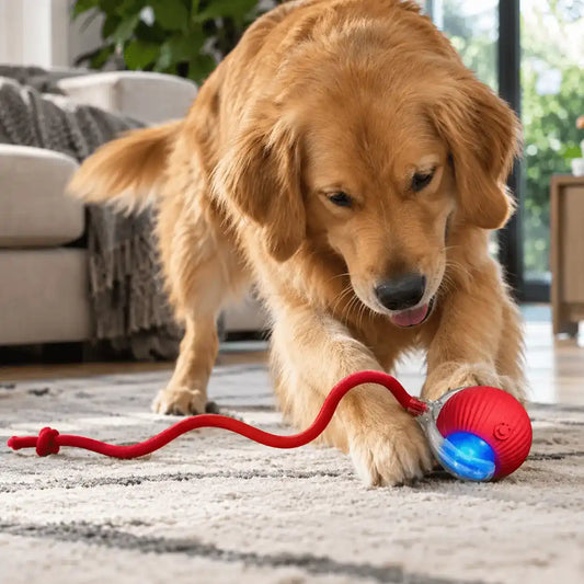 Bola Interativa Inteligente para Cães e Gatos — PawMotion